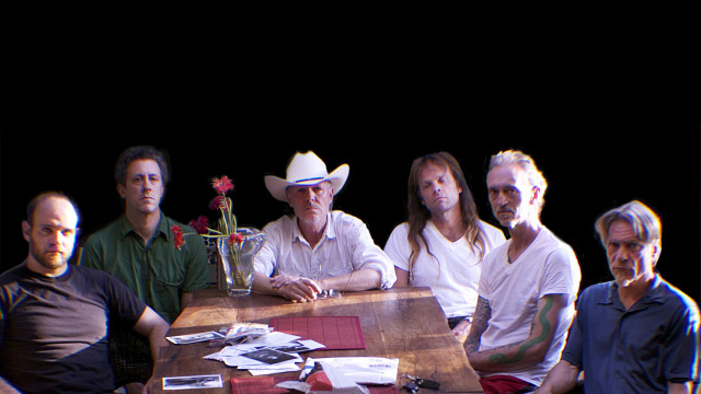 Swans