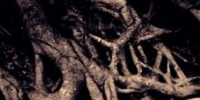 Nile (USA), Belphegor (A), Grave (SWE)