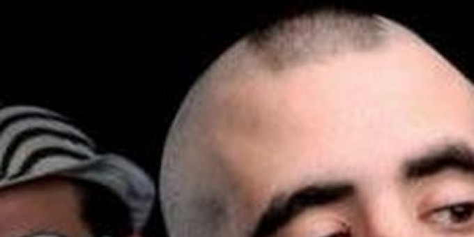 Roofterrace: Datascent, Blodnshavemoregunz