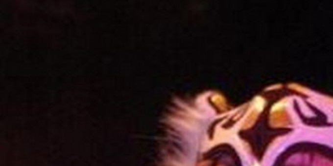 Roofterrace: Captain Ahab (US), Sickboy (BE), DJ Skull Vomit (US)