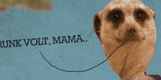 CONCERT HALL: Roofterrace: EZ Basic, Last Night Out, Tesco Disco