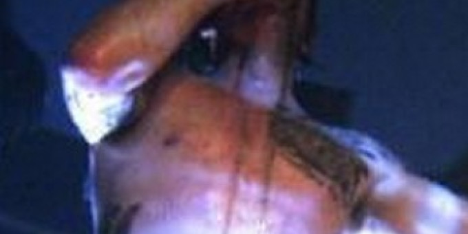 Fuckhead (AT), Drama Und Stern (AT) - Az én városom Bécs fesztivál