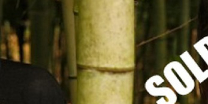 SioldOut! She Keeps Bees (USA)