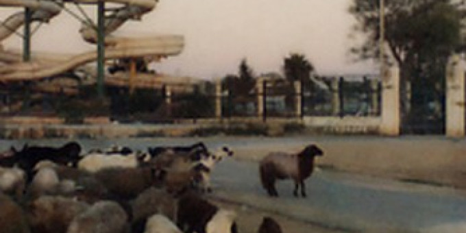 Les Frankolorés exposition