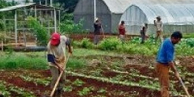 The Power of Community