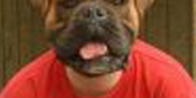 DJ Garfield & Orditronic