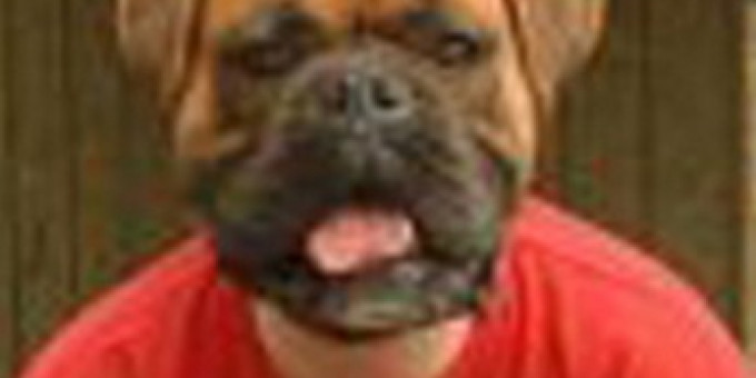 DJ Garfield & Orditronic