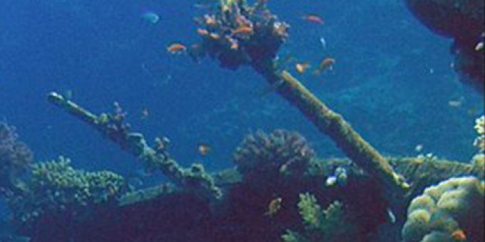 Follow The Water, Dryvia album-release gig, Pills for Side-Effects, Faminehill