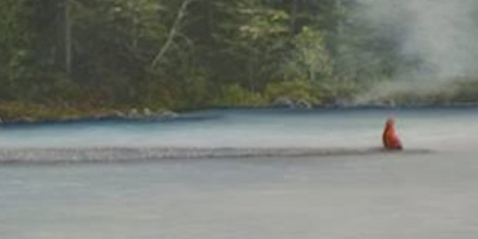 We Plants Are Happy Plants, Robb (AT),Törzs, Klusters, Christopher Waver