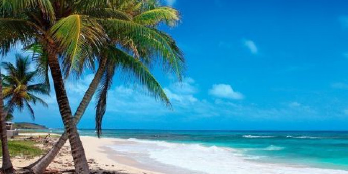 Fine Selection - Monoclick, Electric Boutique, Special guest: Blatti 