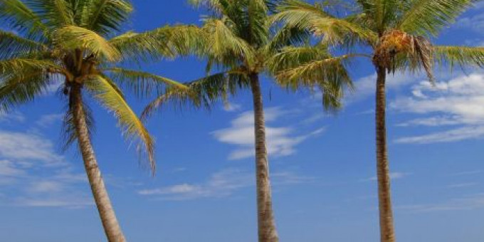 Fine Selection - Monoclick, Electric Boutique, Special guests: Robert Dobak & Staffonly