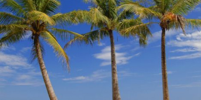 Fine Selection - Monoclick, Electric Boutique, special guests: Varin & Cadou