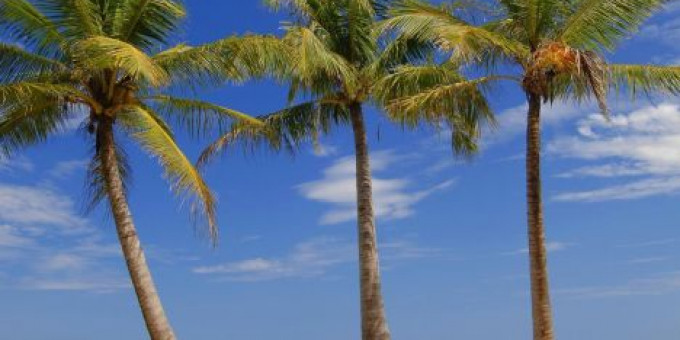 Fine Selection#19 - Monoclick&Electric Boutique, special guest: Soundline