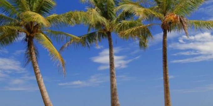 Fine Selection#20 - Monoclick&Electric Boutique, special guests: Glucose&Dot (discofish)